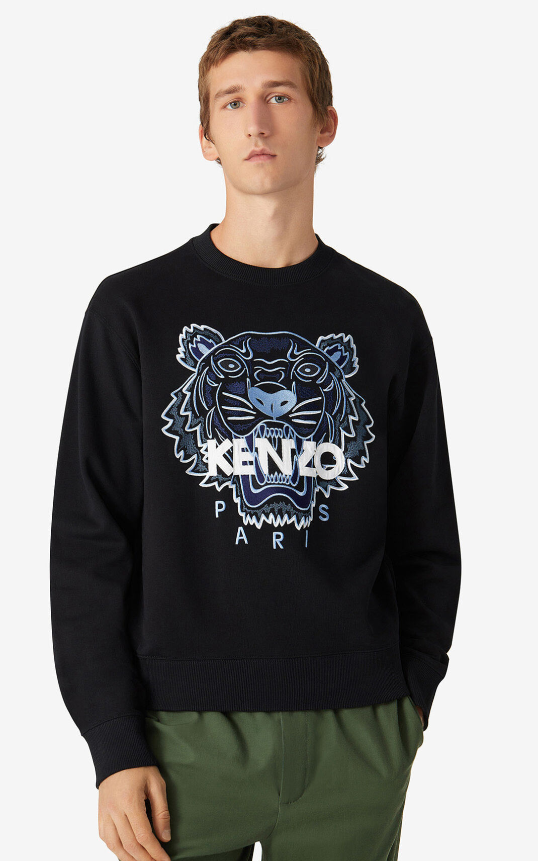 Kenzo Tiger Sweatshirt Herr | 74309-UYIQ